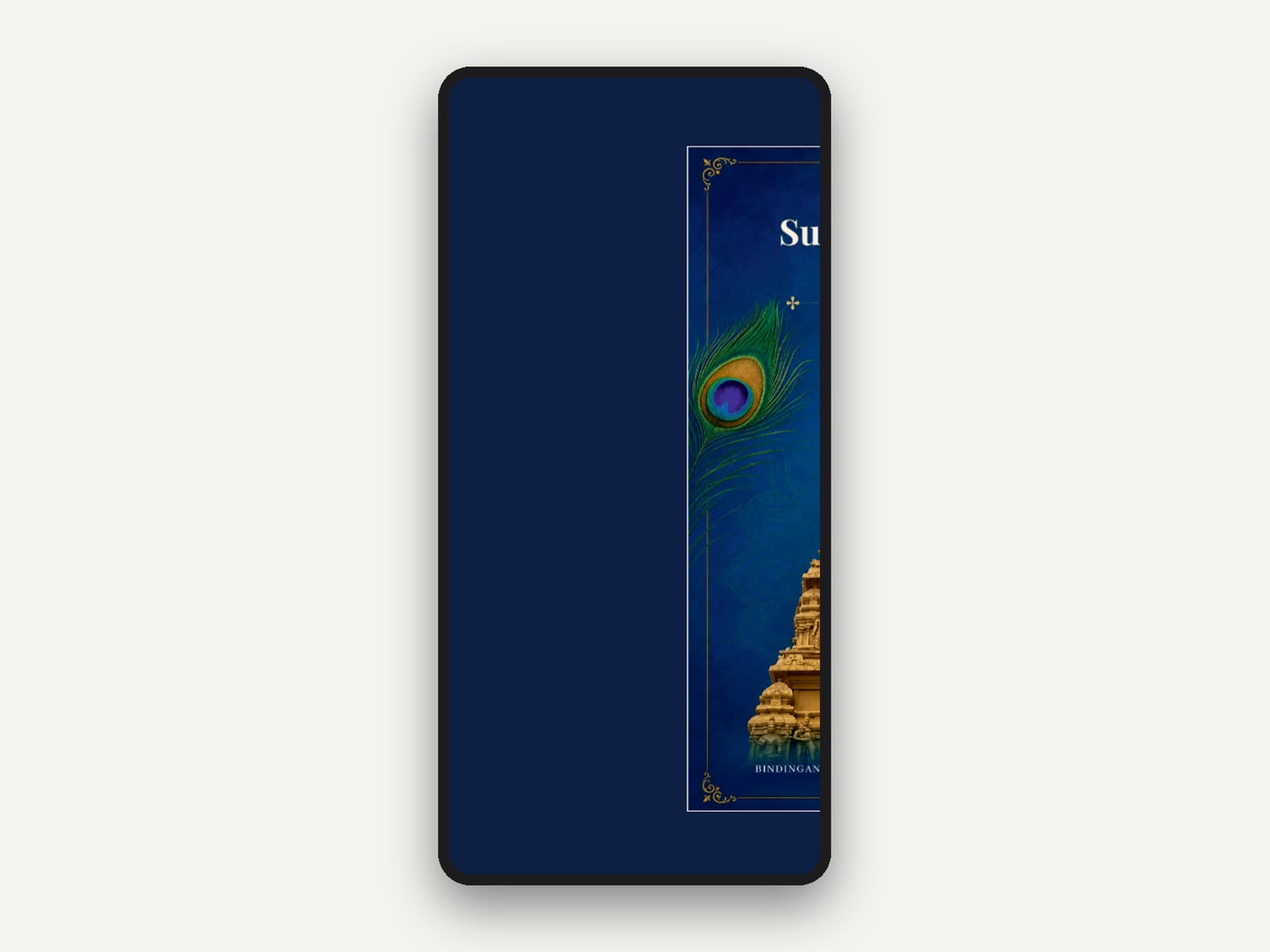 BSVBM — Website — mobile