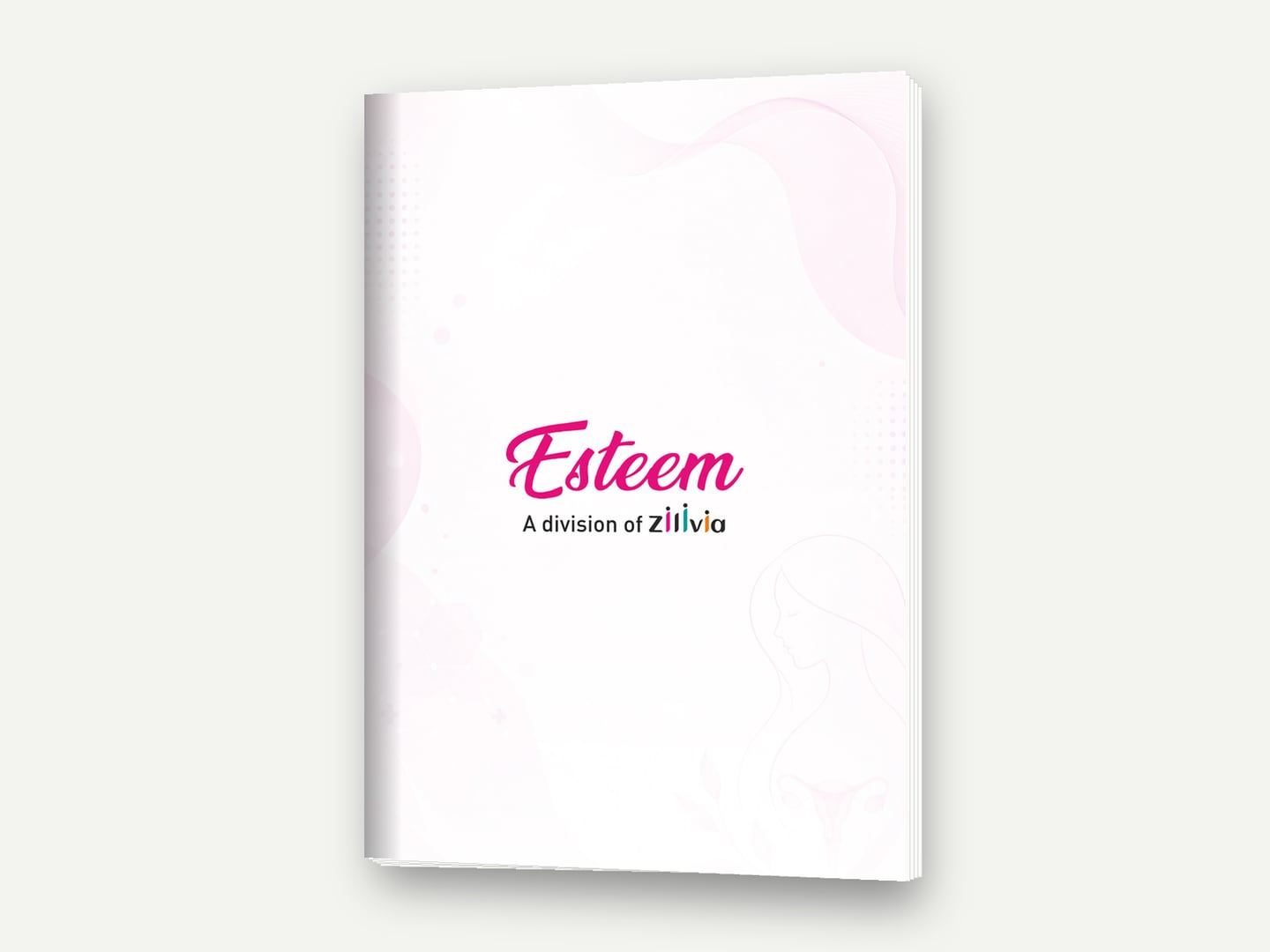 Zilivia Healthcare — Esteem — A division of Zilivia (visual-aid cover) — Visual aid designed and printed by Daffodil Design & Prints, Bengaluru